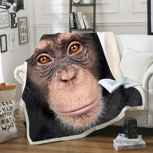 Funny monkey couch - funny,